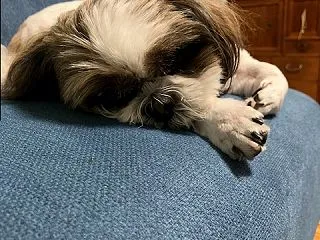 指示に従い