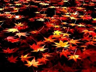 夢色づかい