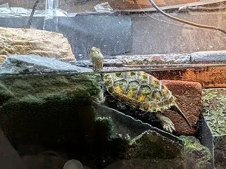 寒くなってきた