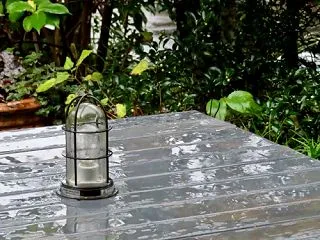 今日も雨・・・