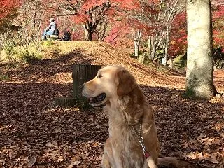雨続き