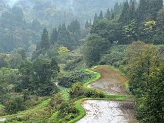 故郷