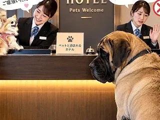 この子を見ずに、犬種で決めないで