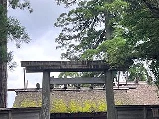 6年ぶりに再開して、アラカンになって感じ…