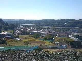 特定健診 歯医者