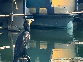 もうすぐアメリカです