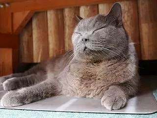 近況