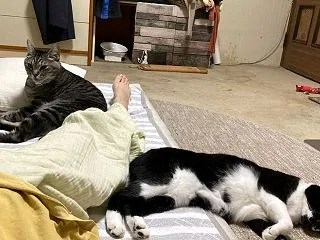 AI様