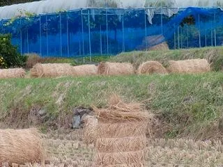 切れ目ない農作業