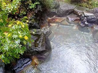 野湯のモミジが色づいてきました