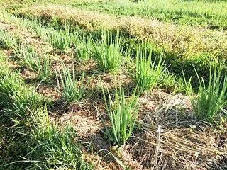 贅沢は言わずに感謝
