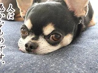 秋、ムズ