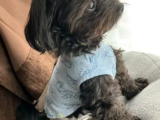 そろそろ寒くなってきたからね