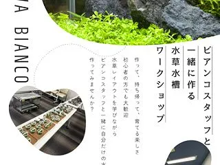 11月開催！沖縄ビアンコイベント情報！！