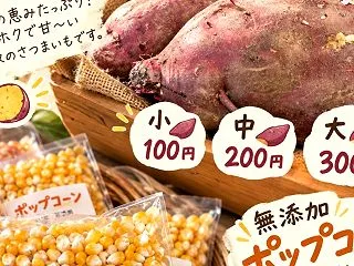 鳥取のさつまいもとポップコーン♡