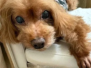 変わっていくことも、元気でいることも