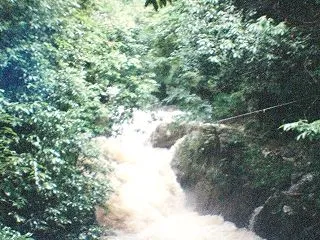 Diana Miniで撮った水間鉄道の旅…