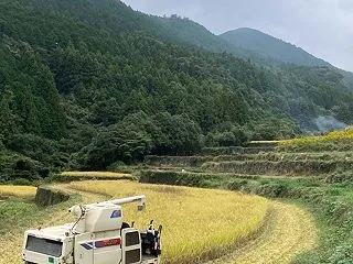 【 2年目の稲刈り 始めてます 】