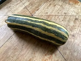 ズッキーニの種取り