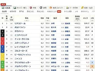 ミストヴェール～母の思いも込めたデビュー…
