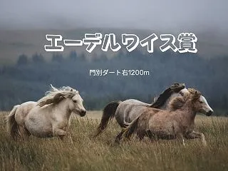 エーデルワイス賞2026予想｜北海道勢が…