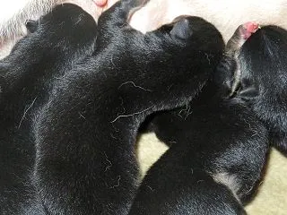みんな元気一杯だょ～❤