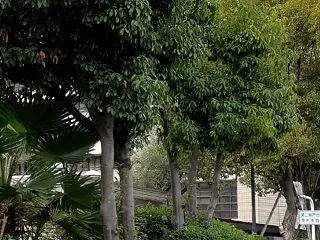 第二室戸台風浸水水位標