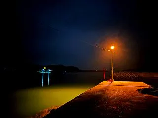 【玄人向け？】湾奥×夜の常夜灯下でのサビ…
