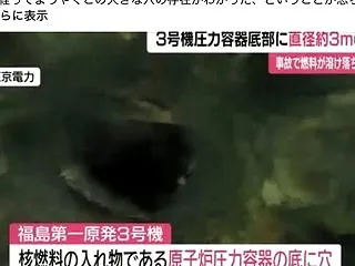 【抗議声明】3学会見解への抗議声明を公表…