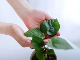 人の在り様はお金の使い方に現れます