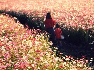 夢の世界へ