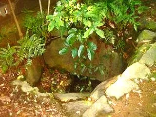 豪族 有度郡牛麻呂の墓？ 八幡山古墳群 …