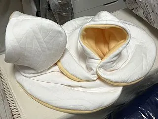 白鳥とアヒルになった