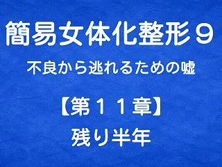 簡易女体化整形９ 不良から逃れるための嘘…