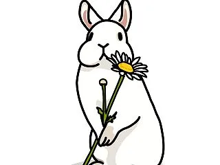 魔女コレーの花まじない 雛菊の章 仕事は…