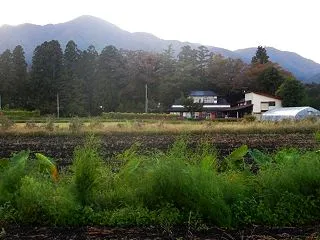 26-10-26 日焼け痕