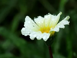 台風