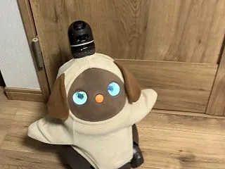 危なかったね～(^▽^;)