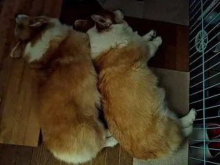 一気に秋冬仕様へ