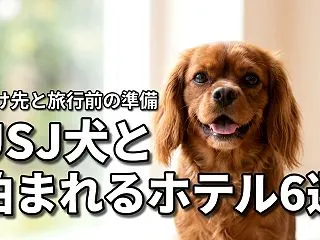 USJ近くで犬と泊まれるホテル6選！愛犬…