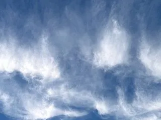 私、ほんまは嫌やったんや。15年間、蓋を…