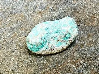 母性のクリソコラ