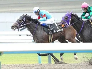先週の結果 ムーンベリル 京都 なでしこ…