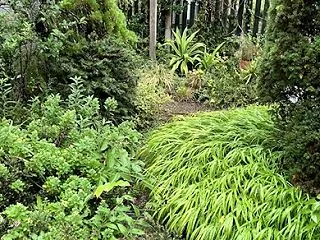 秋雨。