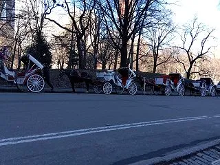 11月度すけじうる