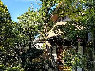 高枝鋏が便利・・・。