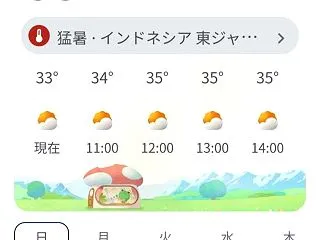 異常な暑さです💦 CFDの失敗。