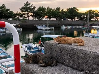 ダブルですやー。