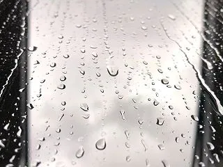 雨の日に振り返る（1455）