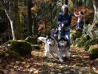 辰之介の日々 2019年11月（家に来て…